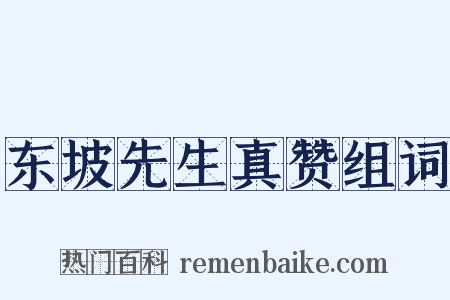 东坡先生真赞组词是什么意思的图片